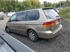 2004 Honda Odyssey EX