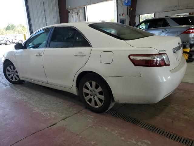 2010 Toyota Camry Hybrid