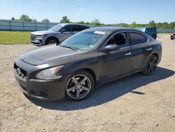 Salvage cars for sale at Houston, TX auction: 2013 Nissan Maxima S