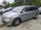 2007 Honda Odyssey EXL