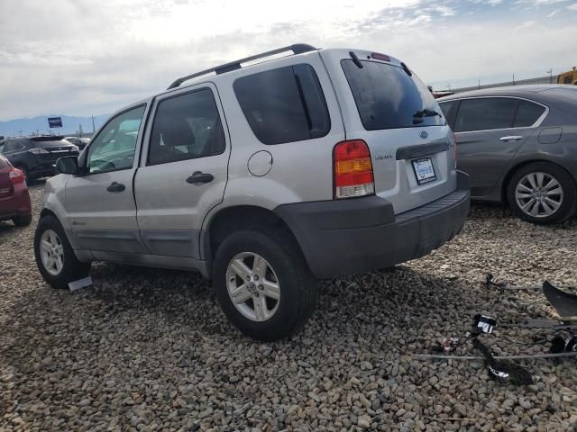 2007 Ford Escape HEV