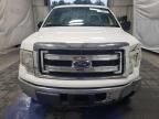 2013 Ford F150