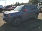 2017 Jeep Renegade Trailhawk