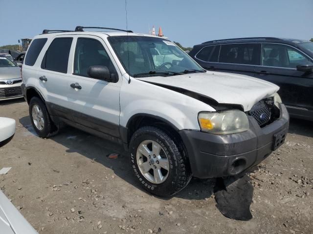 2007 Ford Escape XLT