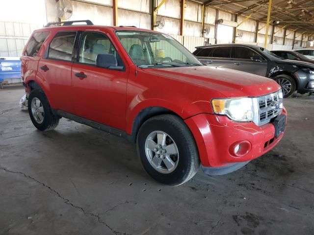 2009 Ford Escape XLT