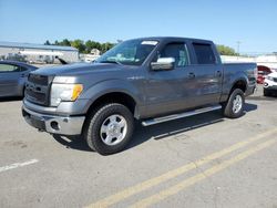 Ford salvage cars for sale: 2013 Ford F150 Supercrew