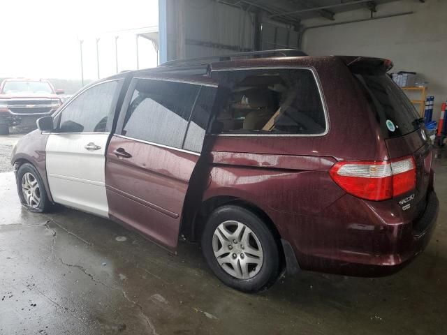 2007 Honda Odyssey EXL