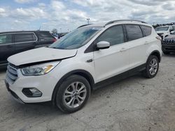 Salvage cars for sale at Indianapolis, IN auction: 2017 Ford Escape SE