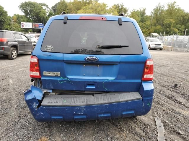 2011 Ford Escape XLT