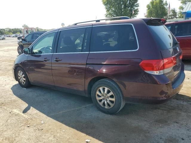 2009 Honda Odyssey EXL