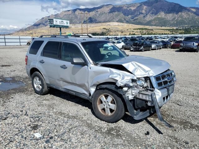 2012 Ford Escape XLT