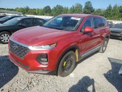 Salvage cars for sale at Memphis, TN auction: 2020 Hyundai Santa FE SEL