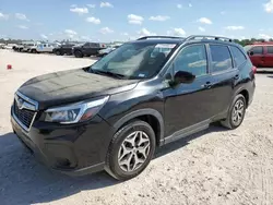 Salvage cars for sale at Houston, TX auction: 2019 Subaru Forester Premium