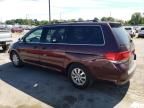 2010 Honda Odyssey EXL