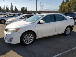 Salvage cars for sale at Rancho Cucamonga, CA auction: 2013 Toyota Camry Hybrid