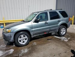 Ford Escape salvage cars for sale: 2005 Ford Escape XLT