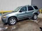 2005 Ford Escape XLT