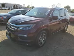 Salvage cars for sale at Elgin, IL auction: 2016 Honda Pilot EX