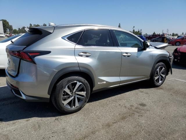 2021 Lexus NX 300H Base