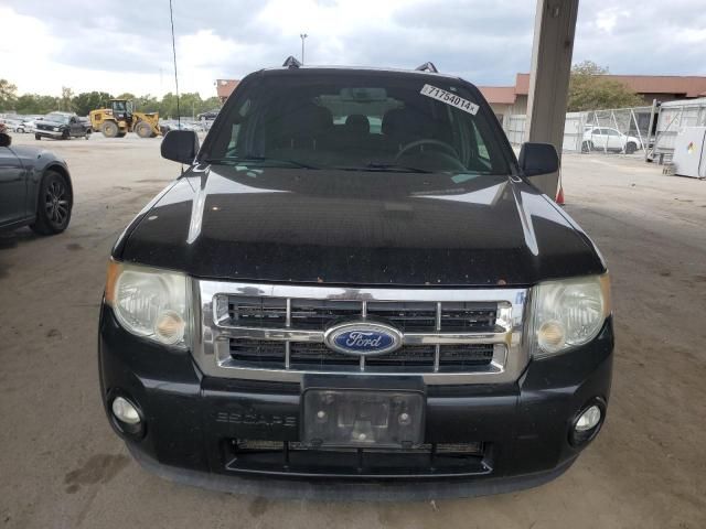 2010 Ford Escape XLT