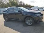 2024 Lexus NX 350H Base