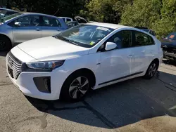 Hyundai Ioniq SEL salvage cars for sale: 2019 Hyundai Ioniq SEL