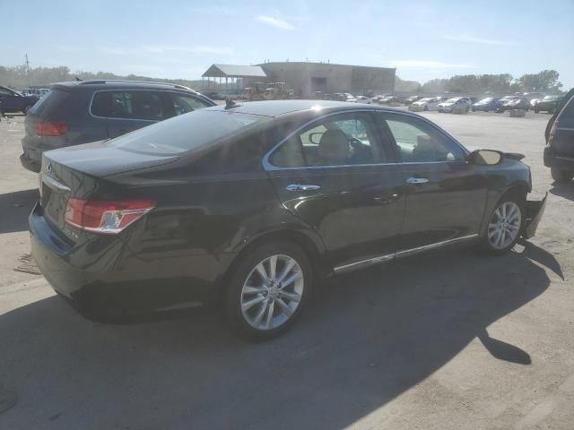 2010 Lexus ES 350