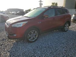 Salvage cars for sale at Wayland, MI auction: 2013 Ford Escape SEL