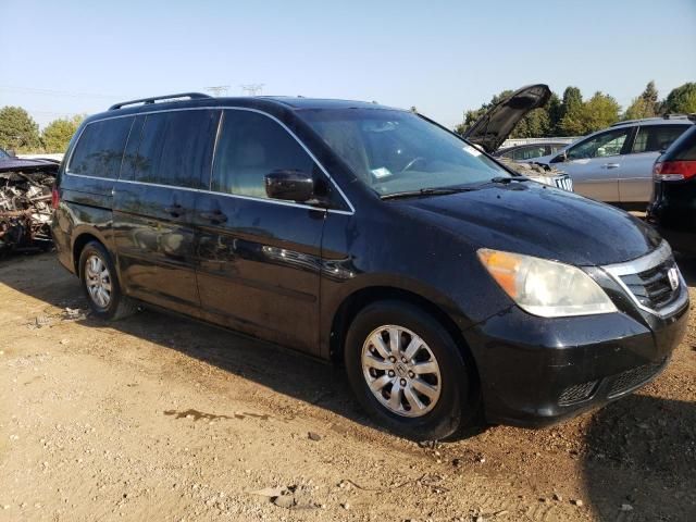 2008 Honda Odyssey EXL