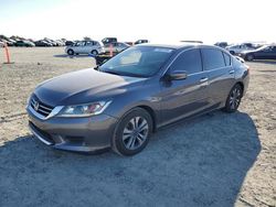 Salvage cars for sale at Antelope, CA auction: 2013 Honda Accord LX