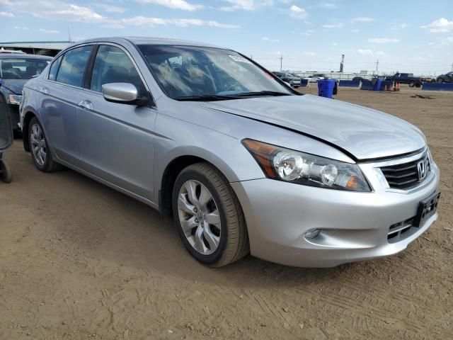 2010 Honda Accord EXL