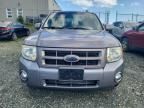 2008 Ford Escape Limited