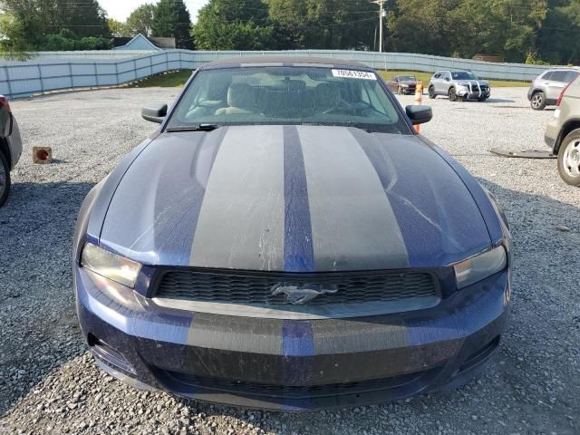 2010 Ford Mustang