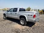 2004 Dodge Dakota Quad Sport