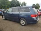 2009 Honda Odyssey EXL