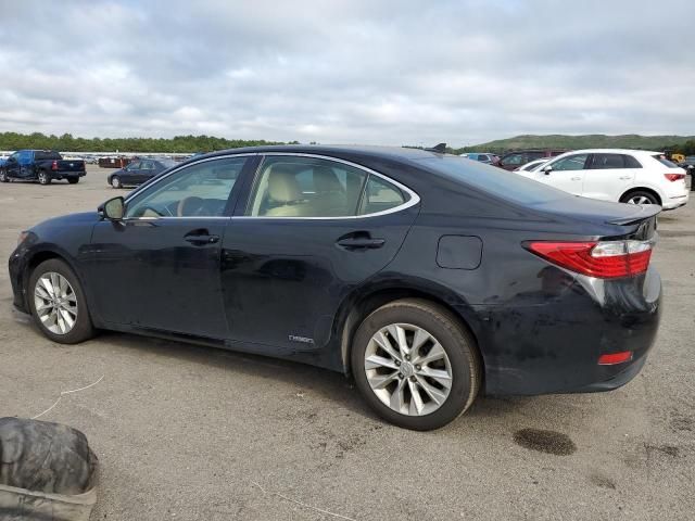 2014 Lexus ES 300H