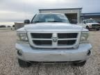 2010 Dodge Dakota SXT