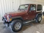 2002 Jeep Wrangler / TJ X