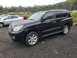 Lexus salvage cars for sale: 2012 Lexus GX 460