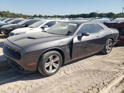 Dodge Challenger sxt salvage cars for sale: 2018 Dodge Challenger SXT