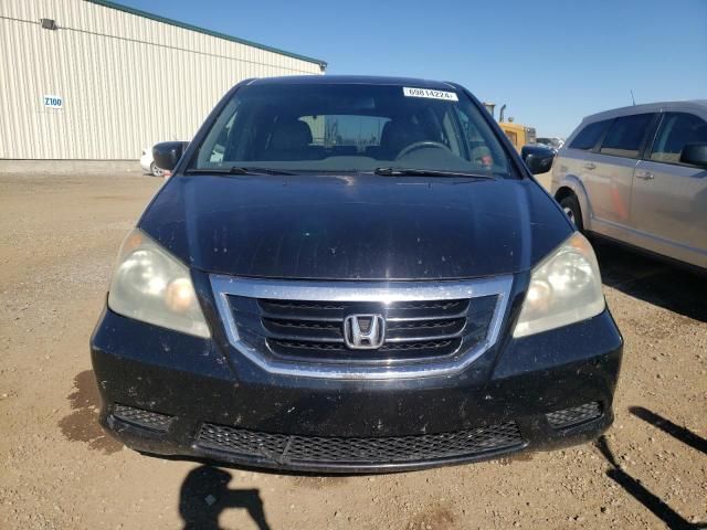 2008 Honda Odyssey EXL