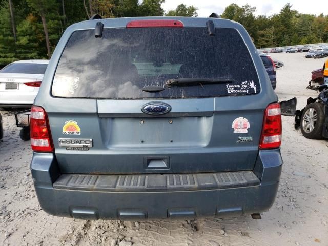 2012 Ford Escape XLT