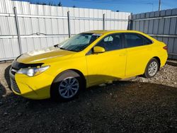 Toyota salvage cars for sale: 2017 Toyota Camry LE