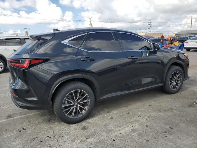 2024 Lexus NX 350H Base