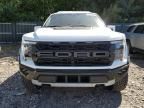 2024 Ford F150 Raptor