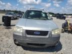 2005 Ford Escape XLT