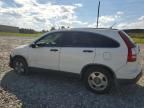 2007 Honda CR-V LX