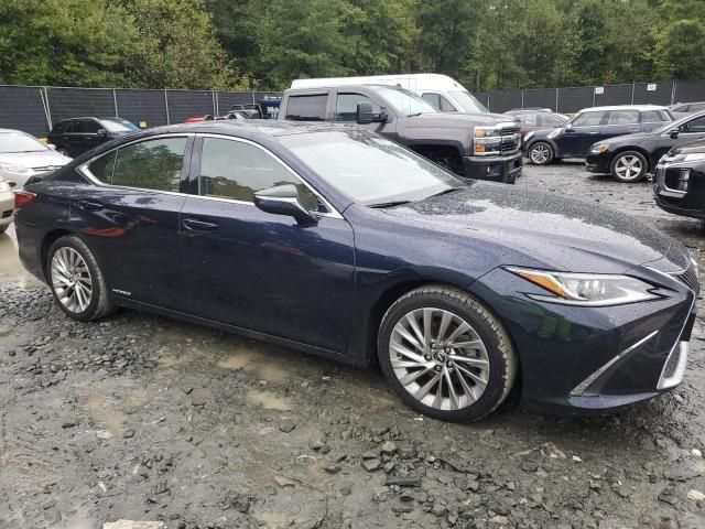 2019 Lexus ES 300H