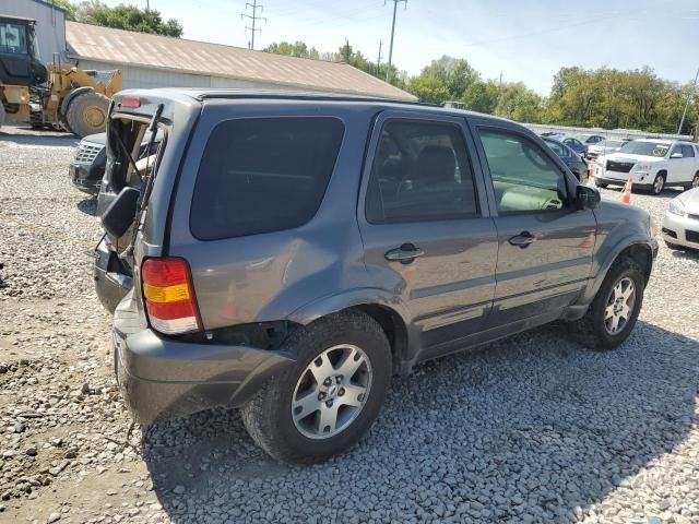 2005 Ford Escape Limited