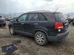 2011 KIA Sorento Base